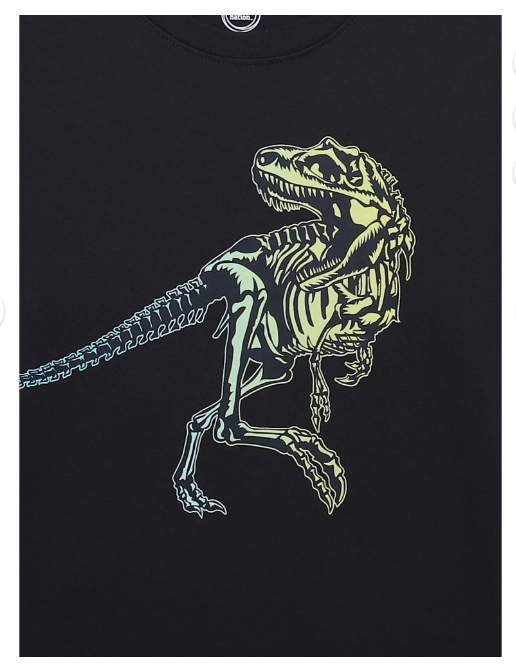 Wonder Nation Colorful Dino Rex, Crew Neck, Short Sleeve, Graphic T-Shirt, 8 M