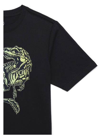 Wonder Nation Colorful Dino Rex, Crew Neck, Short Sleeve, Graphic T-Shirt, 8 M