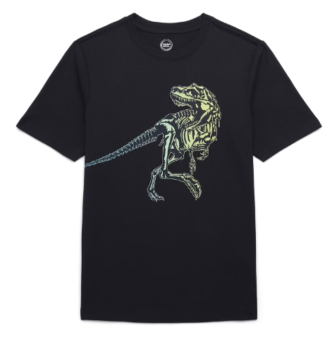 Wonder Nation Colorful Dino Rex, Crew Neck, Short Sleeve, Graphic T-Shirt, 8 M
